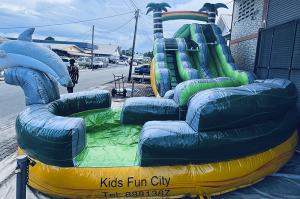 Tropical-Waterslide2